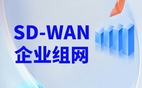 企业多点组网的技术要求-如何进行企业多点组网?