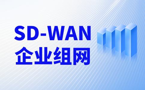 专线怎么异地组网?SD-WAN异地组网服务