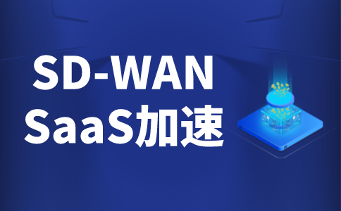 越南至国内跨境SDWAN专线服务全面解析