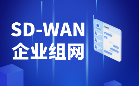 跨境SDWAN：实现全球网络互联与跨境组网加速