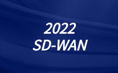 企业全球专线SD-WAN组网