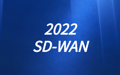 SDWAN业务类型
