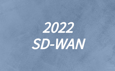 支持sdwan的方案