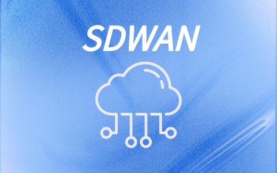 SD-WAN智能组网