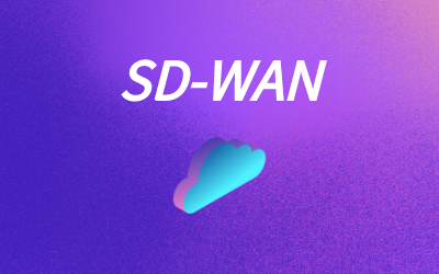 SDWAN数据传输