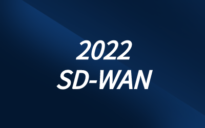 SD-WAN项目测试