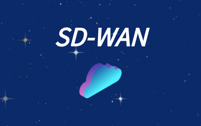 sd-wan云专线组网