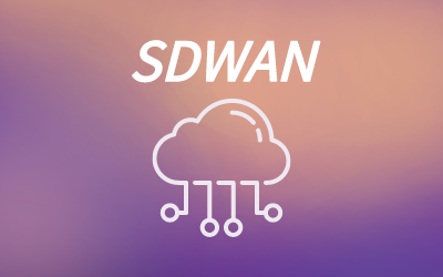 SDWAN组网与传统组网