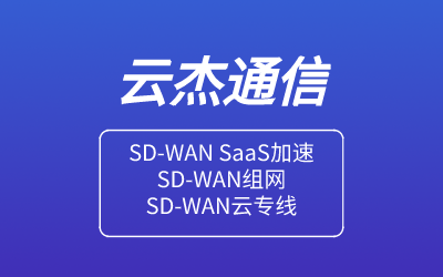 sdwan企业组网技术