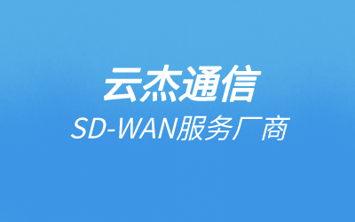 sdwan组网方式特点