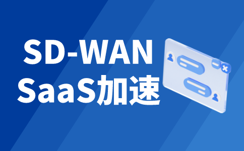 SD-WAN组网与专线比较分析：方案差异与优势对比