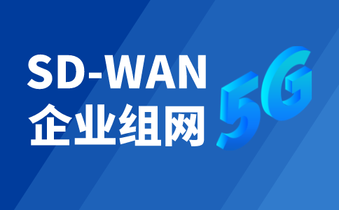 企业跨境组网：SD-WAN解决方案与实践指南