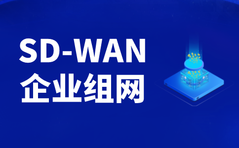 异地组网解决方案-SDWAN组网搭建-定制化