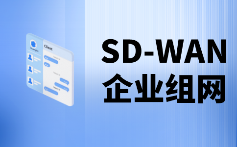 sdwan厂家排名-专业SD-WAN厂家-服务优势