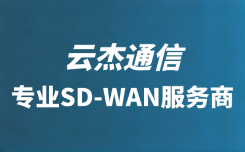 国际互联网接入服务-SDWAN专线接入