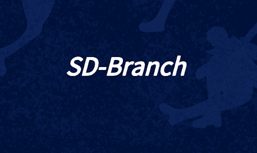SD分支如何增强SD-WAN?