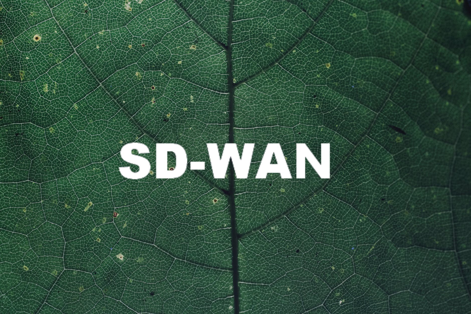 如何有效利用SD-WAN改善网络性能?