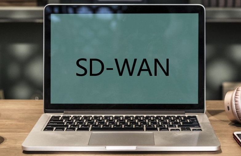 企业在SD-WAN体系结构中寻找什么?