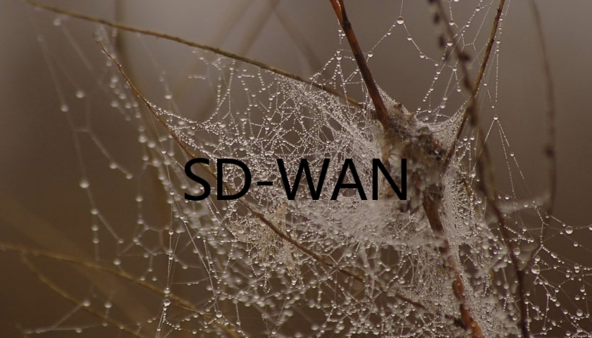 SD-WAN机会：帮助企业优化语音应用程序的带宽