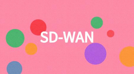 SD-WAN供应商市场级别列表