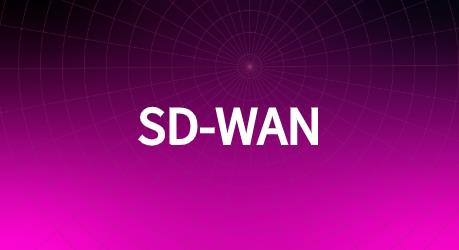 为什么我们会用到SD-WAN?