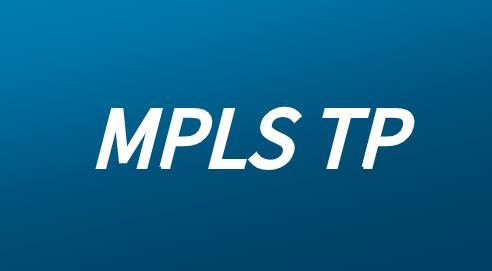 MPLS-TP业务分组交换与转发技术