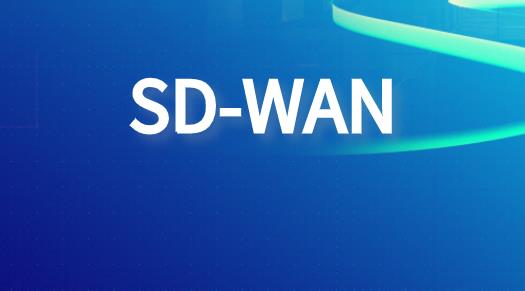 sdwan独有应用场景加速网络互联