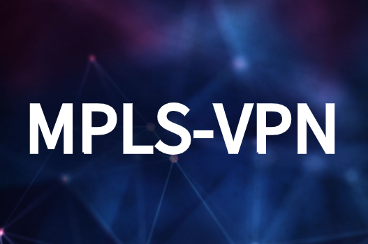 什么类型的企业真正需要MPLS-VPN解决方案?