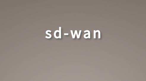 为什么电信服务商纷纷推出SD-WAN方案?