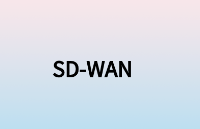 8个容易被忽略但不能忽略的SD-WAN功能
