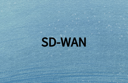 SD-WAN：针对应用策略优化WAN以支持数字转换和云