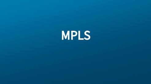 MPLS流量工程有哪些技术特点?