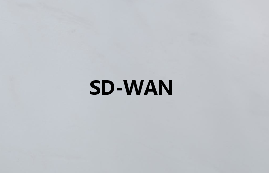 基于路由器的网络在传统WAN上的SD-WAN优势