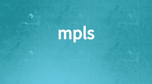 mpls静态和动态lsp优先级