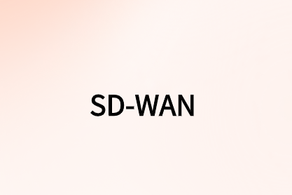 为什么有必要优化SD-WAN?