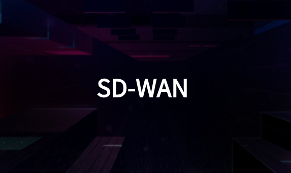 为什么说SD-WAN是真正的网络赢家?