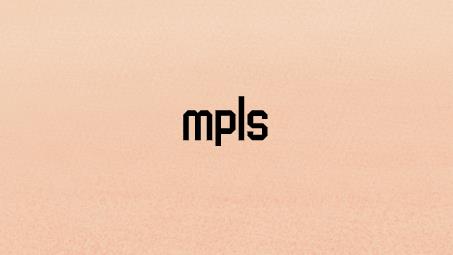 mpls-vpn业务的组网方式
