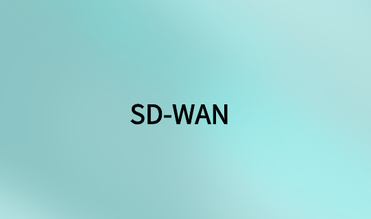 使用SD-WAN进行网络通信
