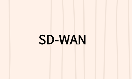 SD-WAN如何工作?