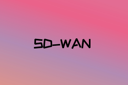 使用SD-WAN支持5G