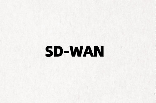 为什么仍需要SD-WAN进行WAN优化?