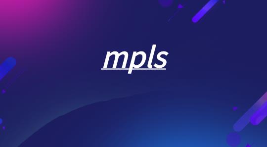 MPLS标签/标签栈/编码介绍