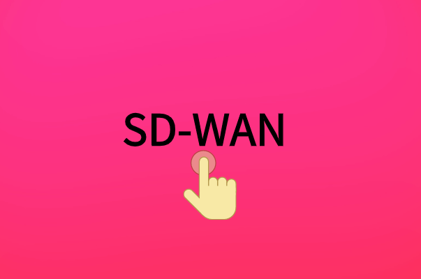 使SD-WAN脱颖而出的功能