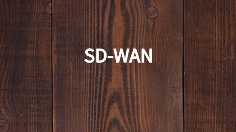 SD-WAN与园区网融合