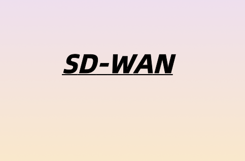 了解企业对SD-WAN的狂热