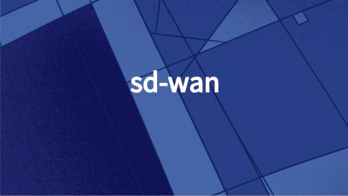 SD-WAN策略应对关键趋势和可扩展性
