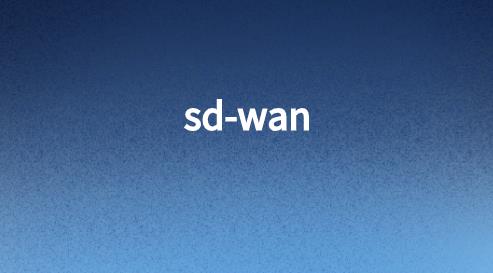 sdwan能用于多分支的企业吗