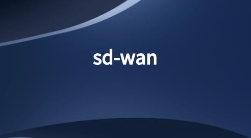 SDWAN企业调查