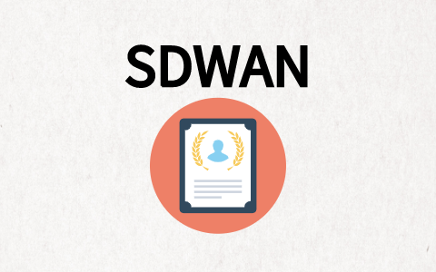 SDWAN交换机
