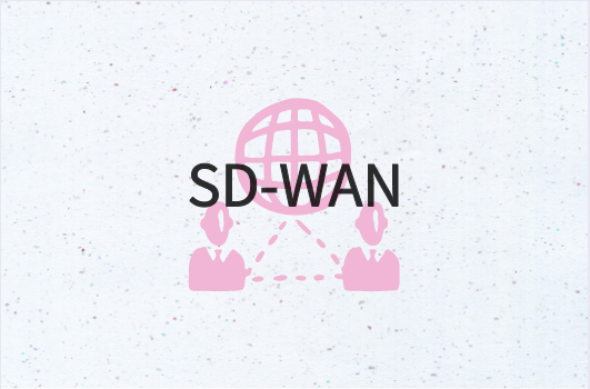 联通SD-WAN实践
